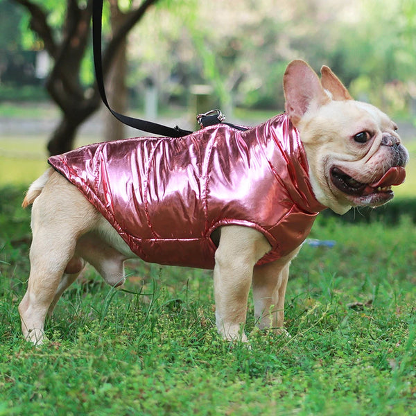 Cozy Pup Winter Jacket