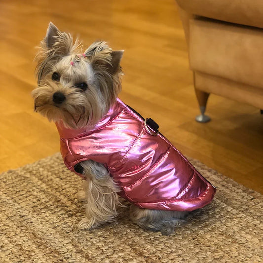 Winter Dog Clothes for Small Medium Dogs Cat Outdoor Waterproof Warm Jacket Puppy Coat Yorkies Chihuahua Pug Outfits Pet Costume