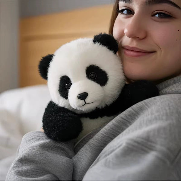 Koala & Panda Comfort Plush